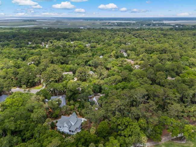 40-web-or-mls-2653 Seabrook Island Rd Co | Image 39