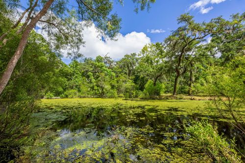 0 Thorn Chase Ln, Johns Island, SC, 29455 | Card Image