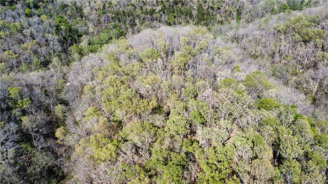 000 Holmes Rd, Home with 0 bedrooms, 0 bathrooms and null parking in Mountain View AR | Image 26