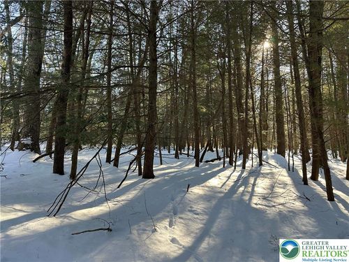 lot-672-672 Wild Creek Dr, Jim Thorpe, PA, 18229 | Card Image