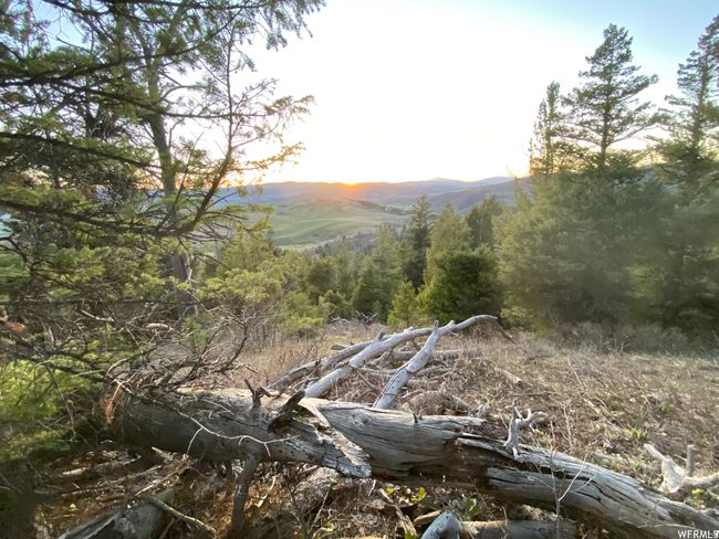 View of mountain view | Image 37
