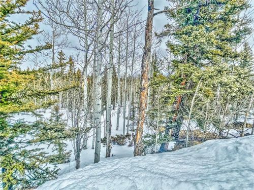 486 Pathfinder Rd, COMO, CO, 80456 | Card Image
