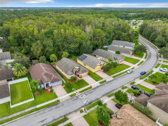 307 Bay Arbor Blvd, House other with 4 bedrooms, 3 bathrooms and null parking in OLDSMAR FL | Image 47