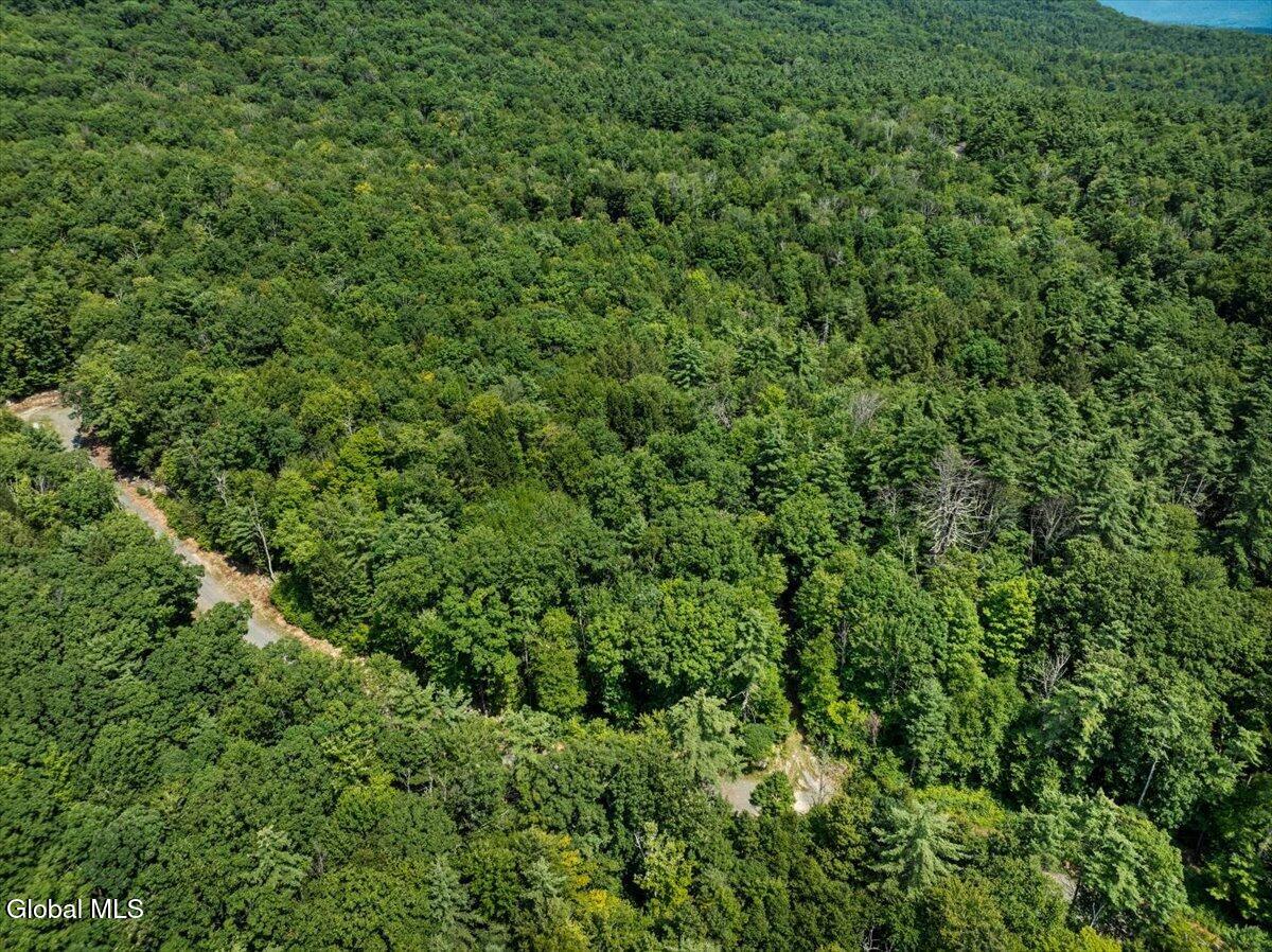 Land in Stephentown 5