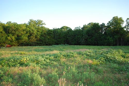 337 Smirl Dr, Heath, TX, 75032-5877 | Card Image