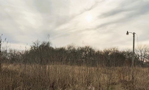 6 Arnold Drive, Bartlett, TX, 76511 | Card Image