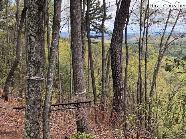 Relax in one of the hammocks at Great Oak Park (common area). Look at the view! | Image 29