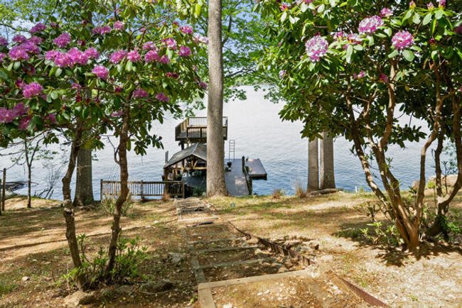Walkway to dock | Image 33