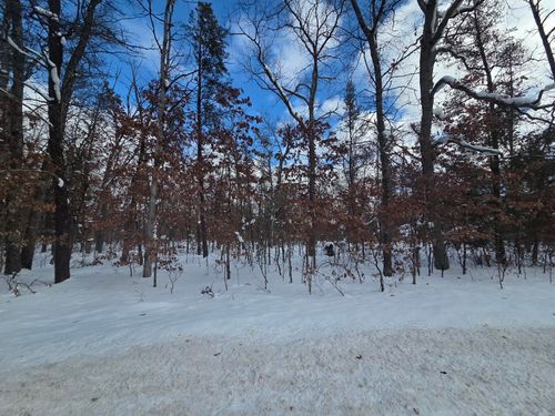 V/L S Astor Rd., Baldwin, MI, 49304 | Card Image