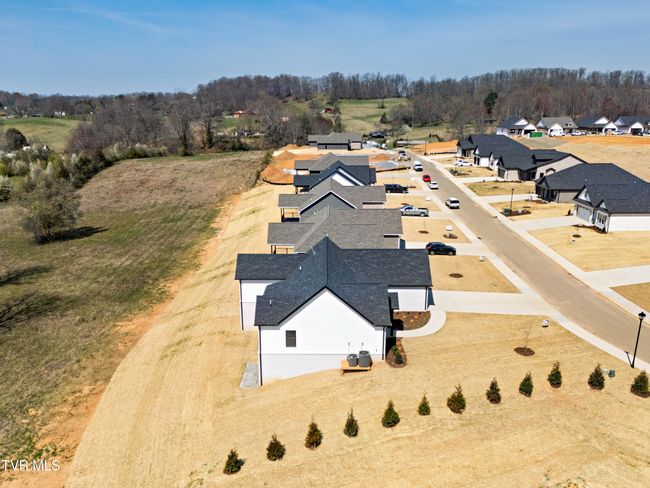 264 Ruby Rose Rdg, House other with 4 bedrooms, 3 bathrooms and null parking in Jonesborough TN | Image 44