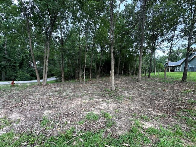 000 Lake Dr, Home with 0 bedrooms, 0 bathrooms and null parking in Onalaska TX | Image 6