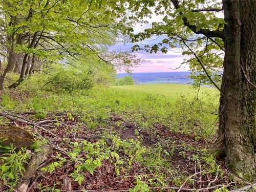 301 & 305 Hust Road Hust, Callicoon, NY, 12748 | Card Image