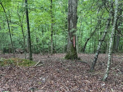 LT #222 Mohawk Trl, Ellijay, GA, 30540-5450 | Card Image