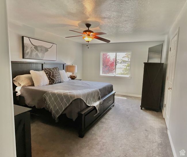 Owners suite has new electric blinds, carpet, paint | Image 18
