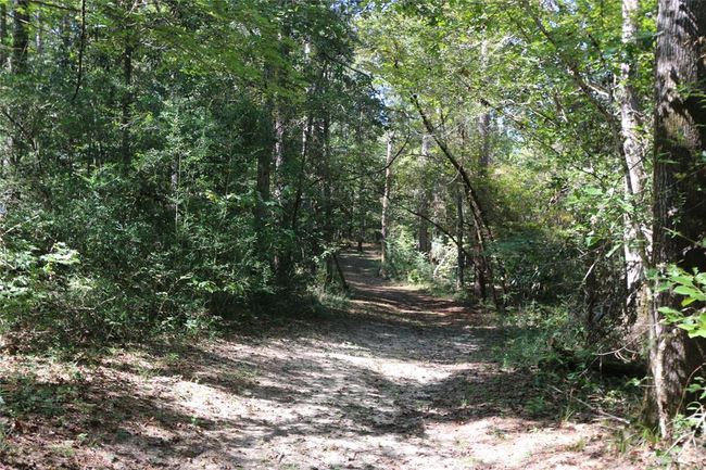 18157 State Highway 87 S, Home with 2 bedrooms, 1 bathrooms and 1 parking in Call TX | Image 35