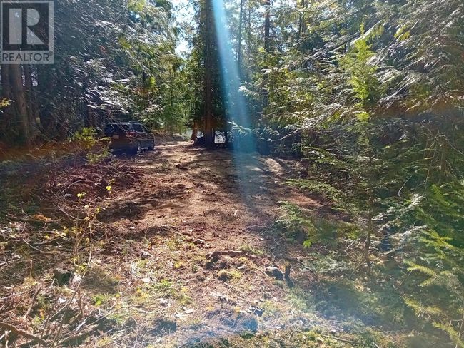 372 Aspen Rd, Home with 0 bedrooms, 0 bathrooms and null parking in Anglemont BC | Image 6