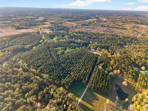 0 Gravel Pit Rd, Sandy Hook, MS, 39478 | Card Image