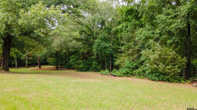 2206 E State Highway 154, Home with 0 bedrooms, 0 bathrooms and null parking in Quitman TX | Image 8