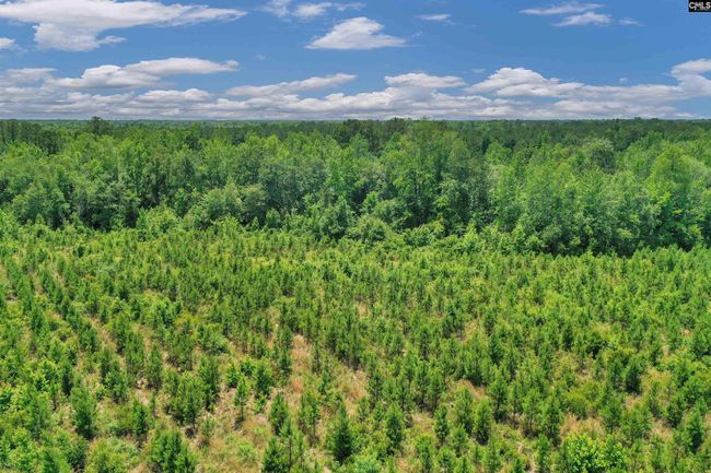 0000 N Brewington Rd, Home with 0 bedrooms, 0 bathrooms and null parking in Manning SC | Image 36