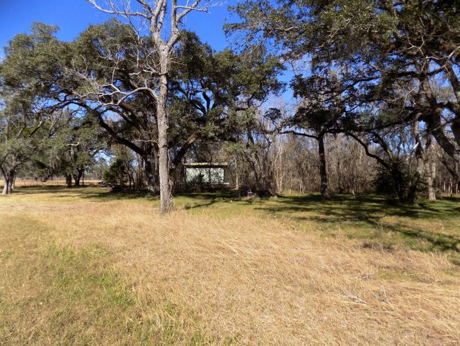 4 County Road 161 Shilo Loop, Home with 0 bedrooms, 0 bathrooms and null parking in Cedar Lane TX | Image 4
