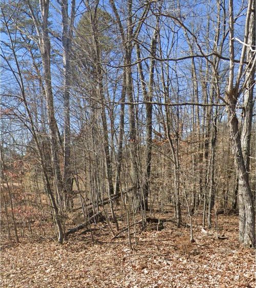 28 Madeline Ln, Rogersville, TN, 37857 | Card Image