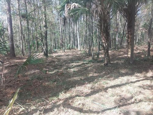 18954 N Highway 329, Micanopy, FL, 32667-8125 | Card Image