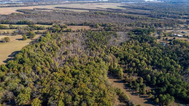 Lot 3 Roland Woods, Hwy 300, Home with 0 bedrooms, 0 bathrooms and null parking in Roland AR | Image 31