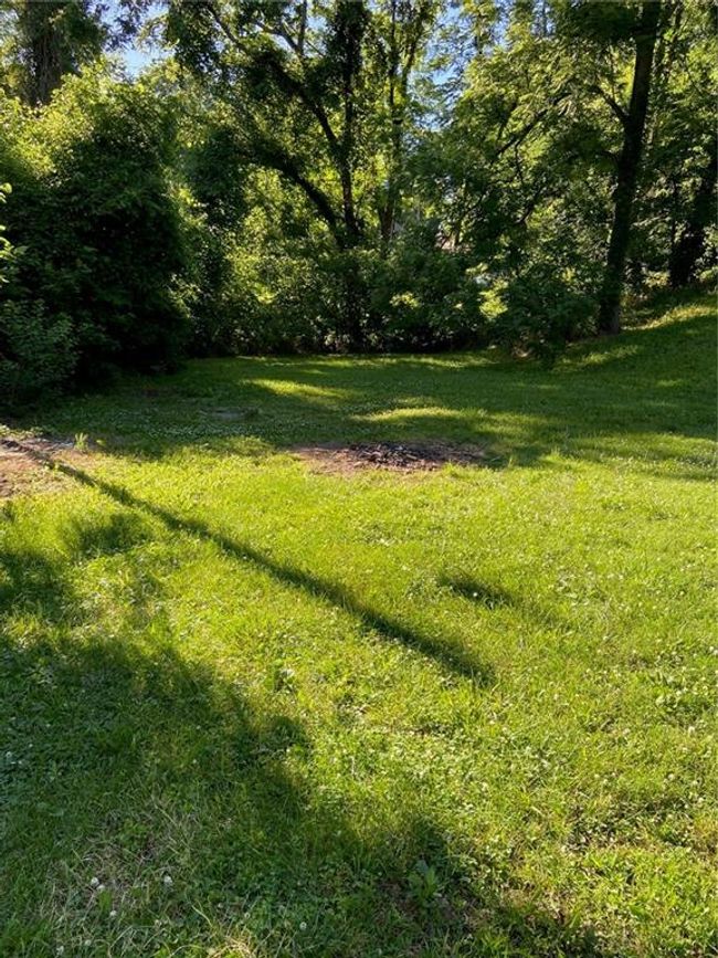 View of yard | Image 13
