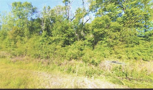 TBD Old Highway 90, Vinton, LA, 70668 | Card Image