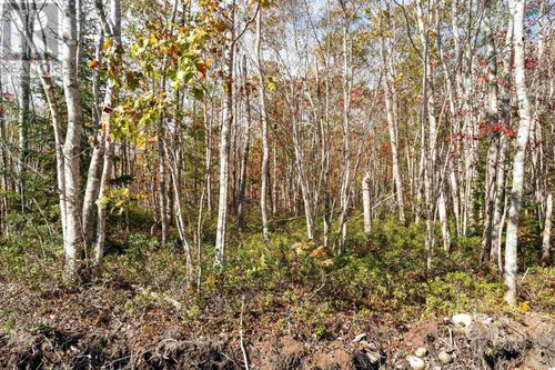 61 Morton Dr, Liverpool, NS, B0T | Card Image