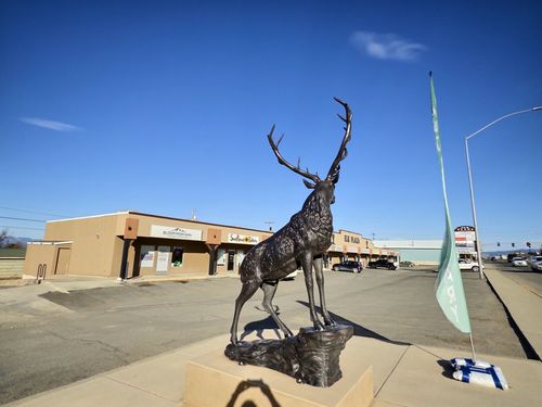 1414 Euclid Avenue, Helena, MT, 59601 | Card Image