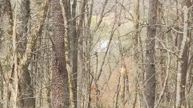 View looking at back of property towards road | Image 17