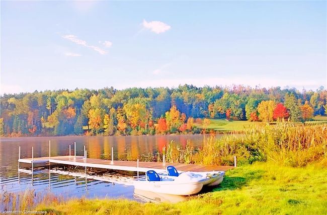 2937 Old Barrys Bay Rd, House other with 0 bedrooms, 0 bathrooms and 22 parking in Madawaska Valley ON | Image 44