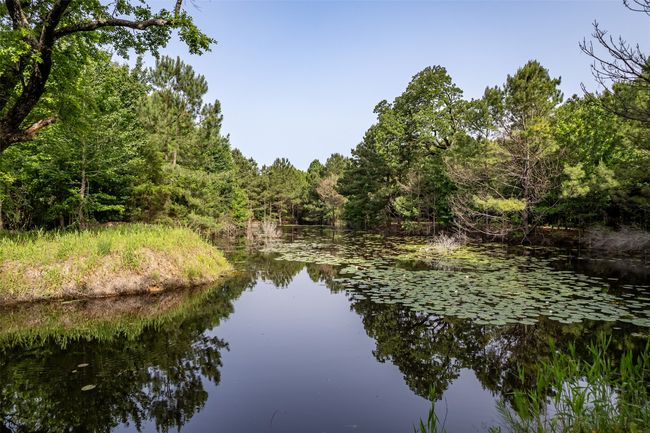 0 Johnson Rd, Home with 0 bedrooms, 0 bathrooms and null parking in Winona TX | Image 13