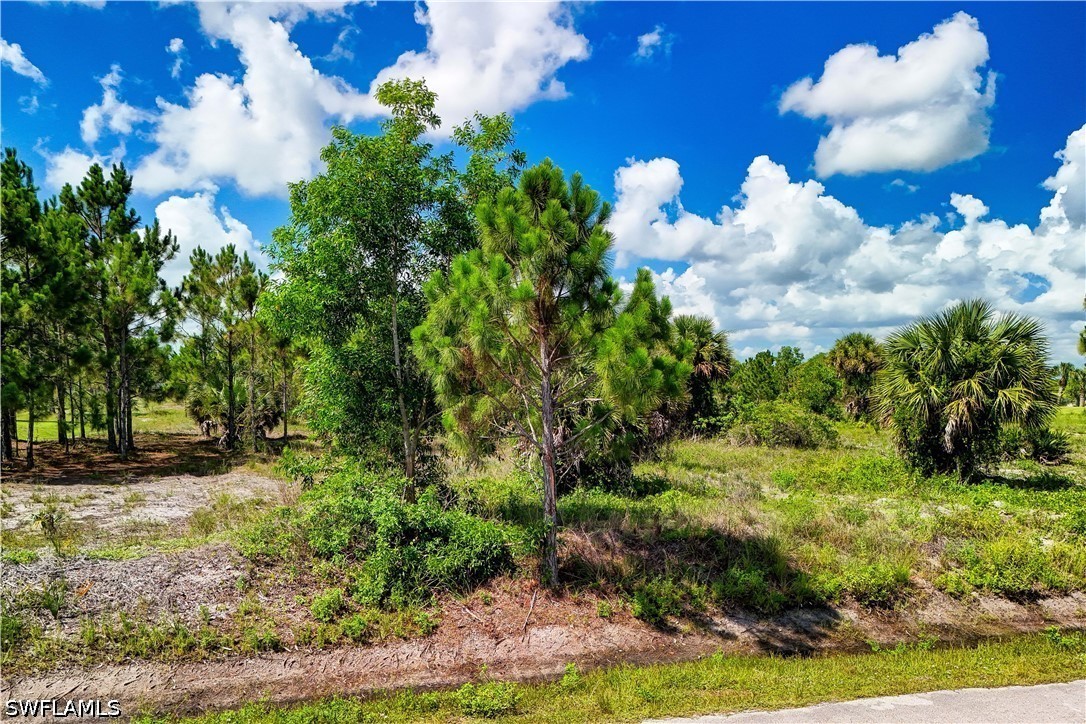 Land in Naples 5