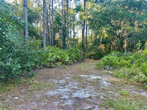 000000 Se 225th St, Hawthorne, FL, 32640 | Card Image