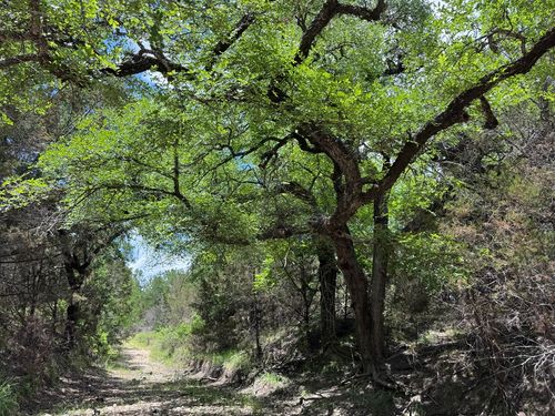 312 Oak Stump Dr, Goldthwaite, TX, 76844-2150 | Card Image