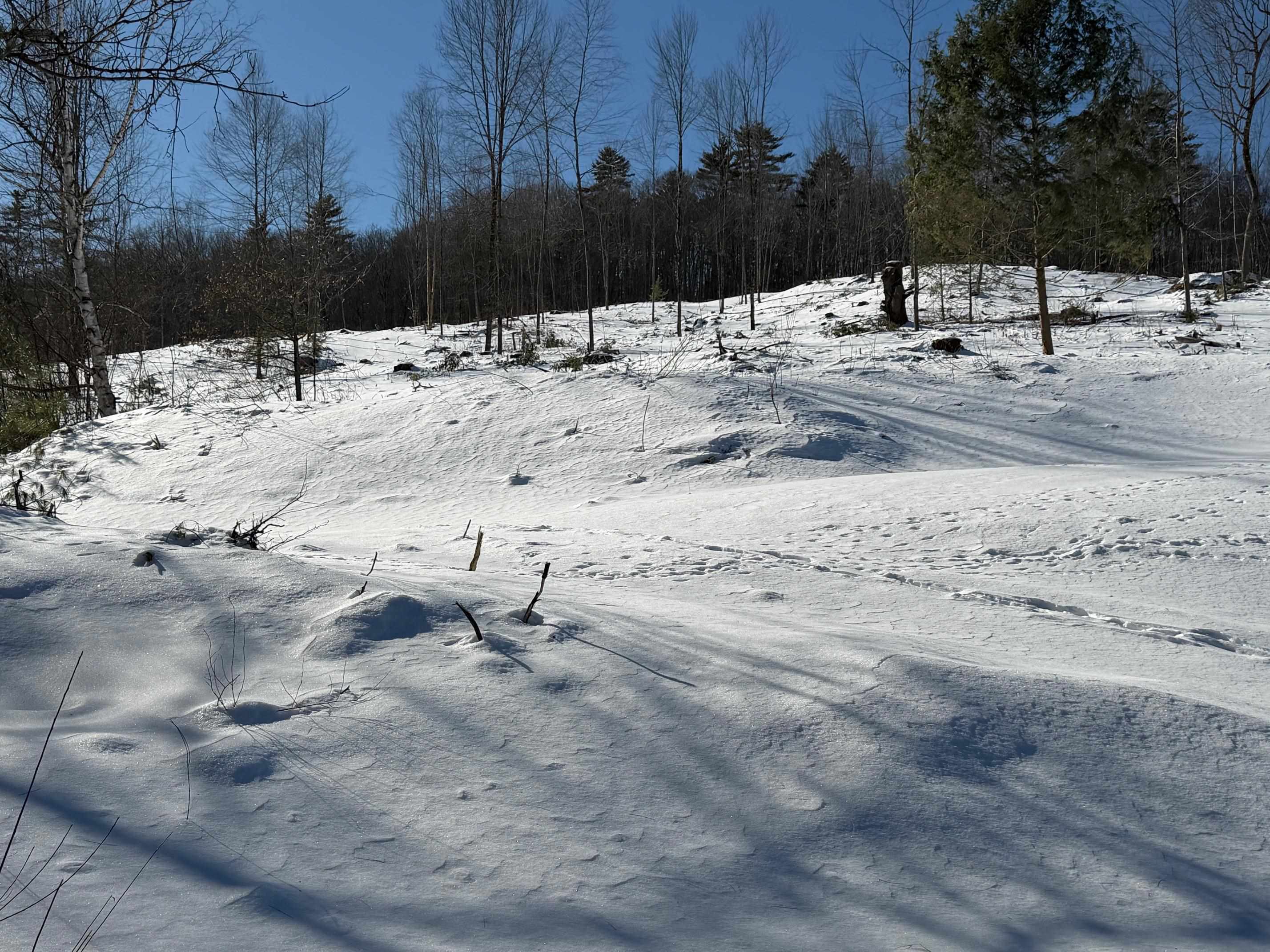 Land in Northfield 4