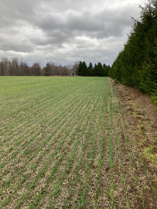 PtLot26 Prince William St, North Middlesex, ON, N0M2J0 | Card Image