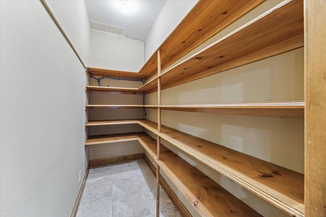 Between all of the kitchen cabinets and this deep walk-in pantry, you will never run out of kitchen storage! | Image 14