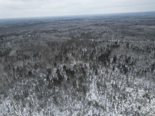 TBD Highway 71, Big Falls, MN, 56627 | Card Image