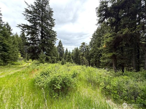 0 Pontiac Ridge Rd, Oroville, WA, 98844 | Card Image