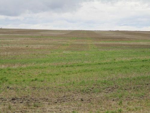 TBD Tbd, Sarles, ND, 58339 | Card Image