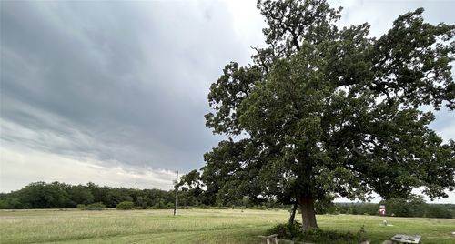 136 Fm 2239, Paige, TX, 78659-4943 | Card Image