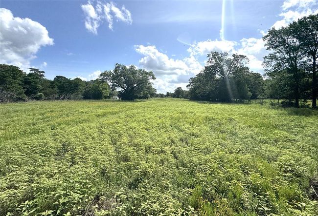 1435 Shaws Bend Rd, Home with 3 bedrooms, 2 bathrooms and null parking in Columbus TX | Image 33
