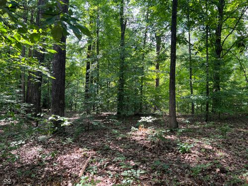 3501 Swartz Ridge Rd, Bloomington, IN, 47401-9666 | Card Image