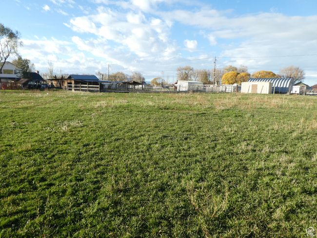 View of yard | Image 23