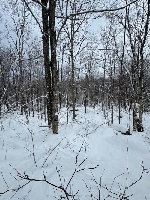 24.521 Acres 1/4 Lot 11 Conc 7 N/A N, Northern Bruce Peninsula, ON, N0H1W0 | Card Image