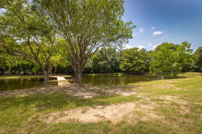 Serene pond with a charming pier, perfect for relaxing and enjoying nature’s beauty. | Image 39