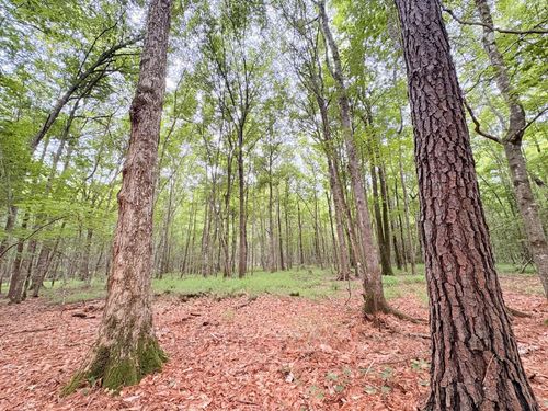 TBD Us Highway 190 E, Jasper, TX, 75951 | Card Image